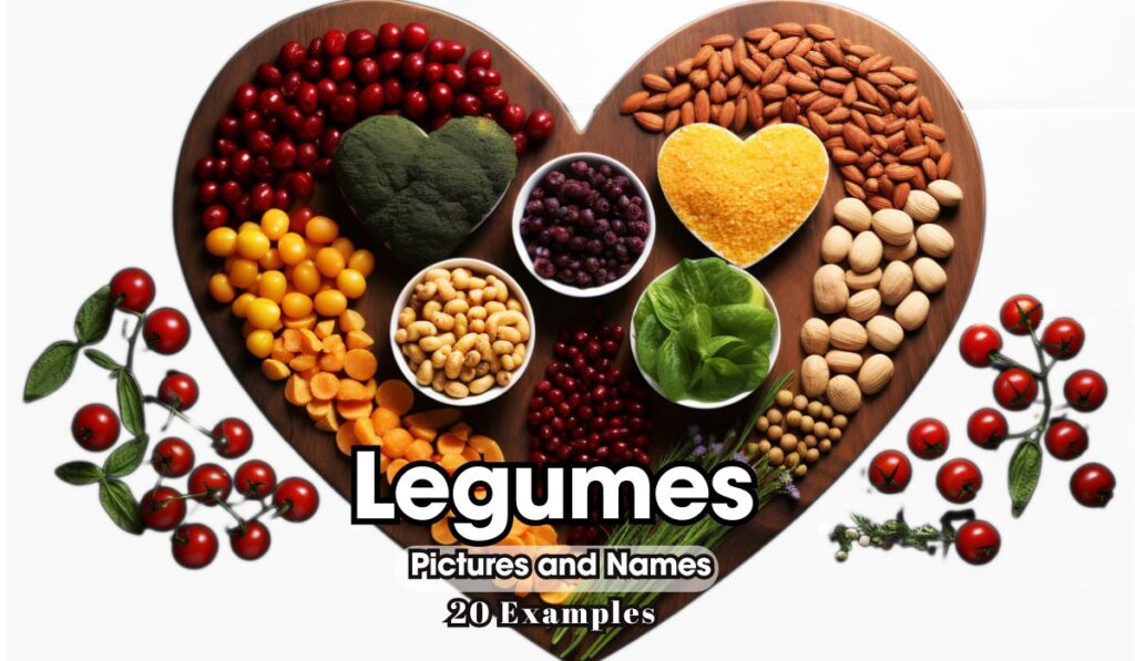 20 examples of legumes with pictures and names